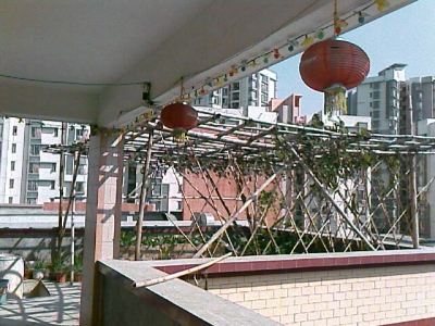 IMAGE_017.jpg