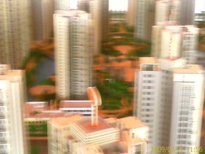 IMAGE_015.jpg