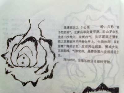 77_6141_bf954b810664c05.jpg