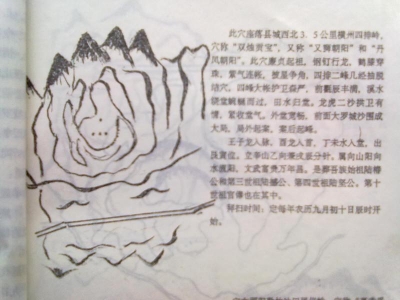 77_6141_e8c362f2c4292ca.jpg