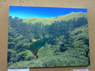 20110514457.jpg
