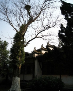 201121818411982081.jpg
