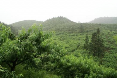 20081227212446_3133773615.jpg