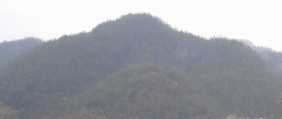 20120223_6da7218c6adf8f4fbc0cqGE9FlTIZsfQ.jpg