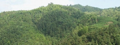 20120224_192b89134b8b8b370d6cDqra6CDhdMAW.jpg