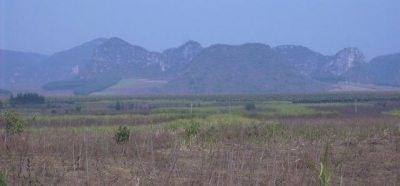 4_45824_b39aa20d9349818.jpg