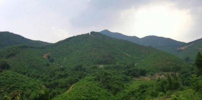 20111006_2892b8ff35661e0ec3440R1ZYJqK4Adn.jpg