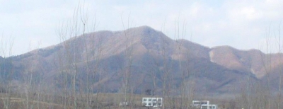 20110324_32df438940c90af97d42nwXsYOi6T1J1.jpg