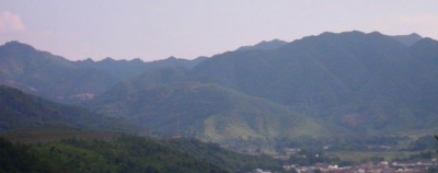 20101125_9cd42002c4260ea97c76gGrniZ6eoYZT.jpg