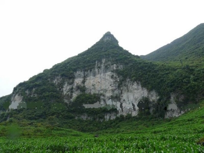 201161014929566.jpg