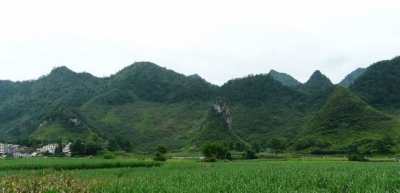 2011713123932917.jpg