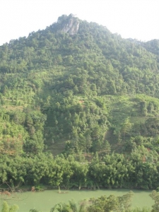 2011610142022782.jpg